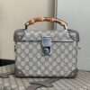 Replica Gucci Globe Trotter Beauty Case 588351