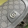 Replica Gucci Ophidia Toiletry Case 739670