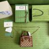 Replica Gucci GG Diana Lizard Mini Bag 675800