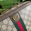 Replica Gucci Ophidia Small Shoulder Bag With Web 739392