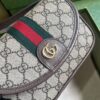 Replica Gucci Ophidia GG Mini Shoulder Bag 772239