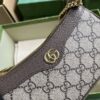 Replica Gucci Ophidia Mini Shoulder Bag 764960