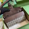 Replica Gucci Dionysus Small Chain Crossbody Bag 731782