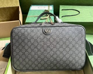 Replica Gucci Ophidia GG Shoe Case 752587