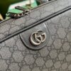 Replica Gucci Ophidia GG Shoe Case 752587