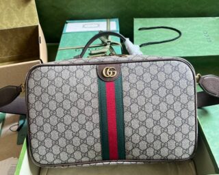 Replica Gucci Ophidia GG Shoe Case 752587