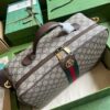 Replica Gucci Ophidia GG Shoe Case 752587