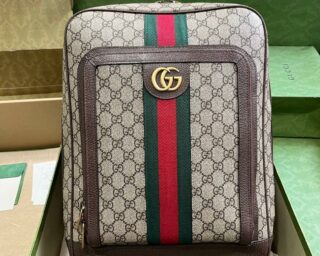 Replica Gucci Ophidia GG Medium Backpack 745718