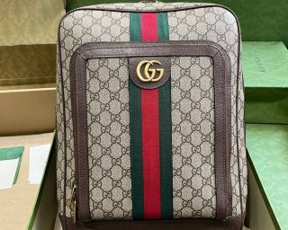 Replica Gucci Ophidia GG Medium Backpack 745718