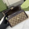 Replica Gucci Luce Continental Wallet 790034