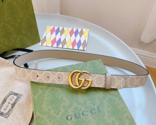 Fake Gucci Supreme PVC Belt